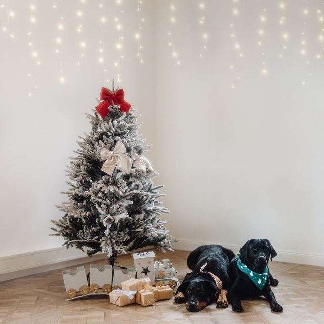 Weihnachtsmini von Nina fotografiert – Moment 1